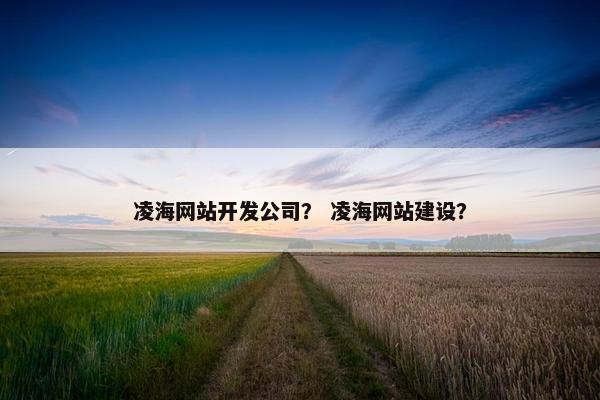 凌海网站开发公司？ 凌海网站建设？