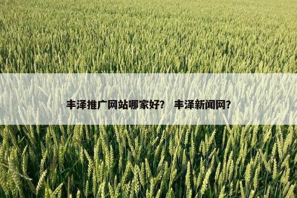 丰泽推广网站哪家好？ 丰泽新闻网？