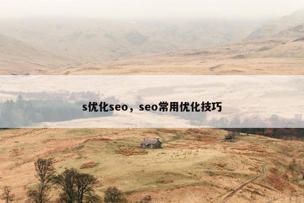 s优化seo，seo常用优化技巧