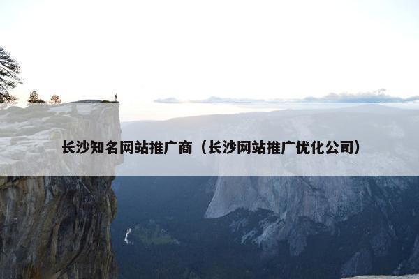 长沙知名网站推广商（长沙网站推广优化公司）