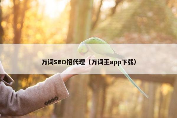 万词SEO招代理（万词王app下载）