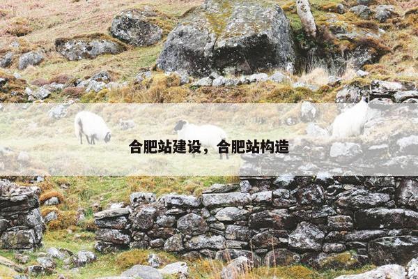 合肥站建设，合肥站构造