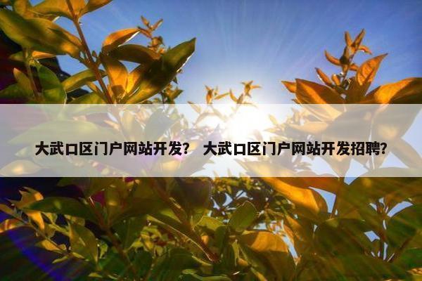 大武口区门户网站开发？ 大武口区门户网站开发招聘？