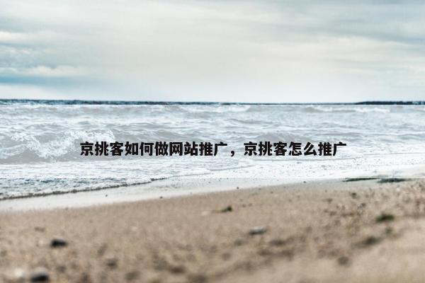 京挑客如何做网站推广，京挑客怎么推广