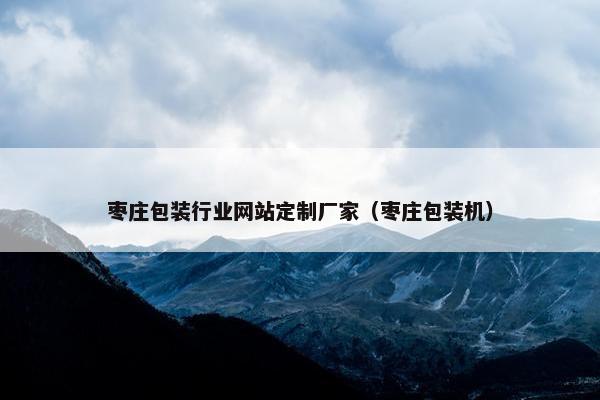 枣庄包装行业网站定制厂家（枣庄包装机）