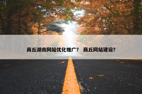 商丘湖南网站优化推广？ 商丘网站建设？