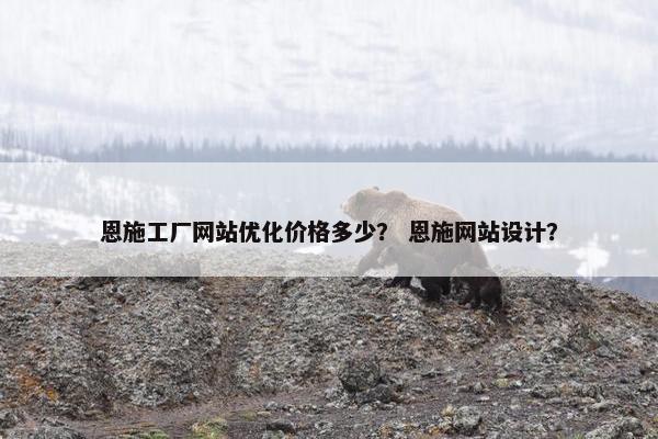 恩施工厂网站优化价格多少？ 恩施网站设计？