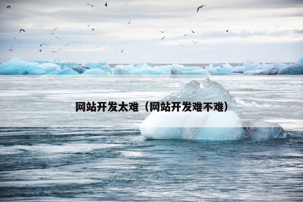 网站开发太难（网站开发难不难）