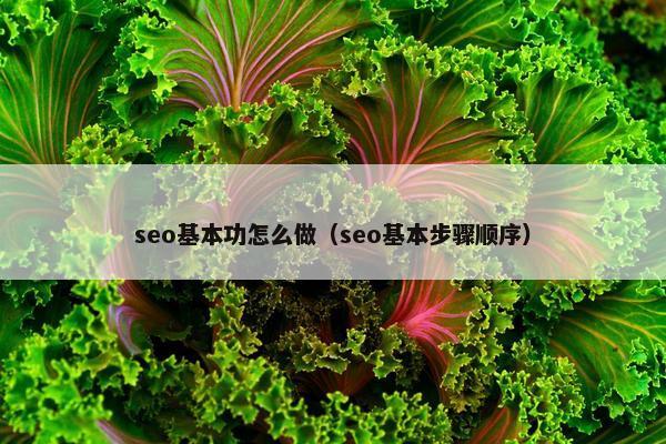 seo基本功怎么做（seo基本步骤顺序）