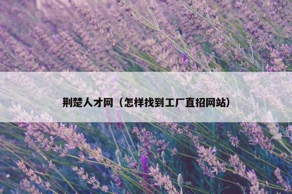 荆楚人才网（怎样找到工厂直招网站）