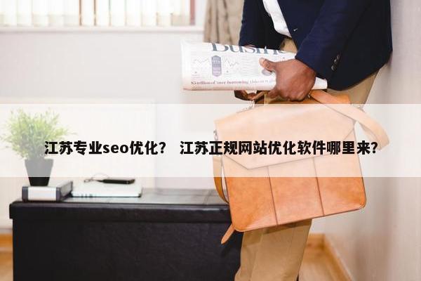 江苏专业seo优化？ 江苏正规网站优化软件哪里来？