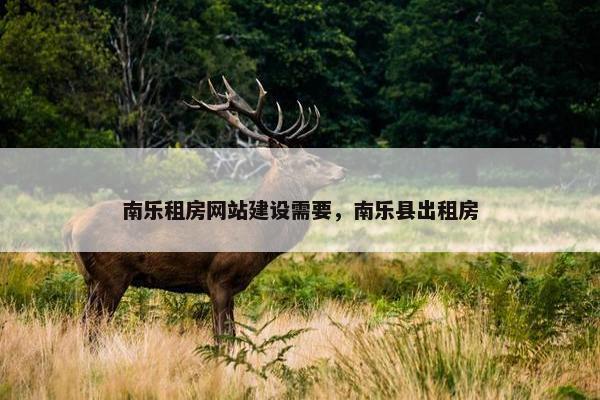 南乐租房网站建设需要，南乐县出租房