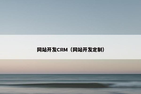 网站开发CRM（网站开发定制）