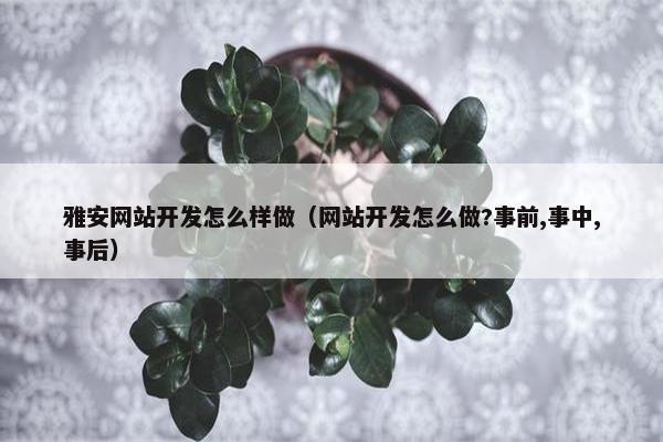 雅安网站开发怎么样做（网站开发怎么做?事前,事中,事后）