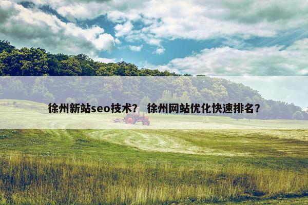 徐州新站seo技术？ 徐州网站优化快速排名？