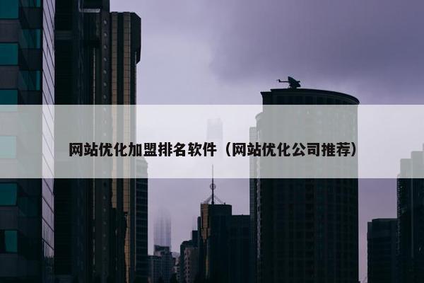 网站优化加盟排名软件（网站优化公司推荐）