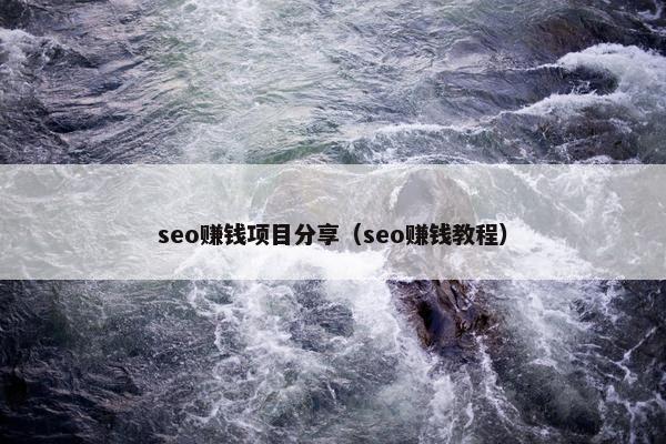seo赚钱项目分享（seo赚钱教程）