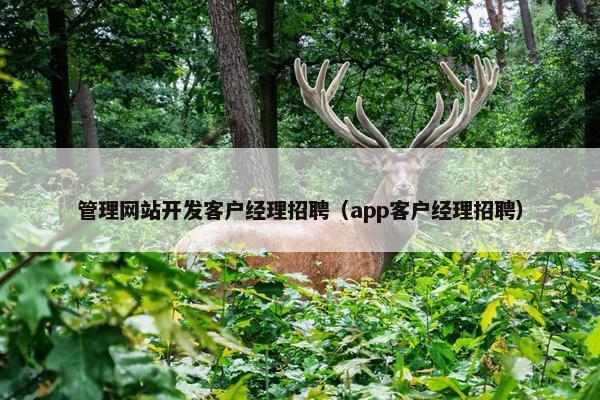 管理网站开发客户经理招聘（app客户经理招聘）