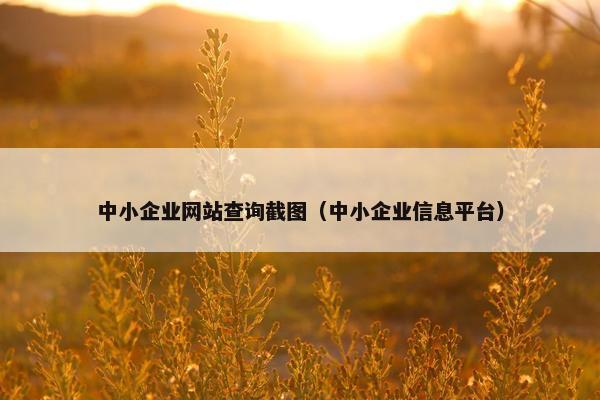 中小企业网站查询截图（中小企业信息平台）