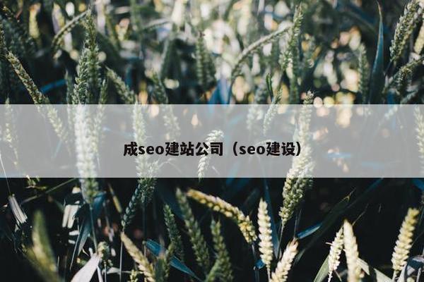 成seo建站公司（seo建设）