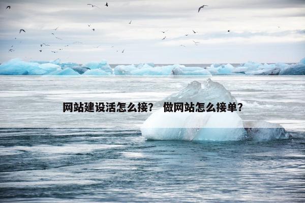 网站建设活怎么接？ 做网站怎么接单？