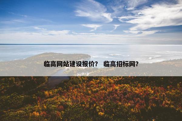 临高网站建设报价？ 临高招标网？