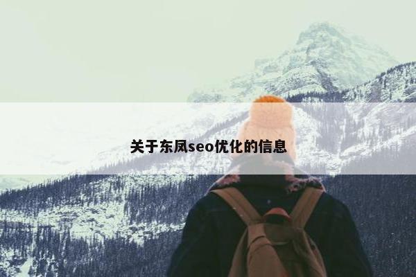 关于东凤seo优化的信息