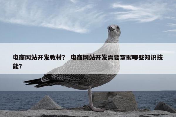 电商网站开发教材？ 电商网站开发需要掌握哪些知识技能？