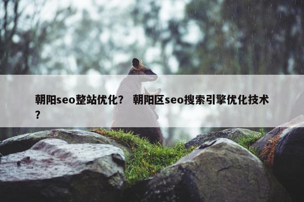 朝阳seo整站优化？ 朝阳区seo搜索引擎优化技术？