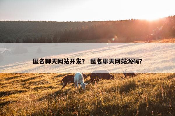 匿名聊天网站开发？ 匿名聊天网站源码？