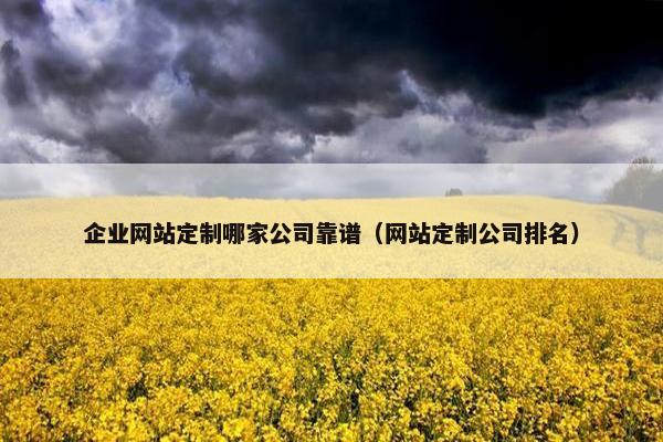 企业网站定制哪家公司靠谱（网站定制公司排名）