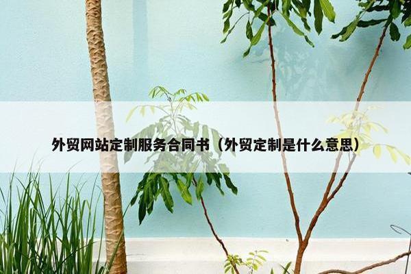 外贸网站定制服务合同书（外贸定制是什么意思）