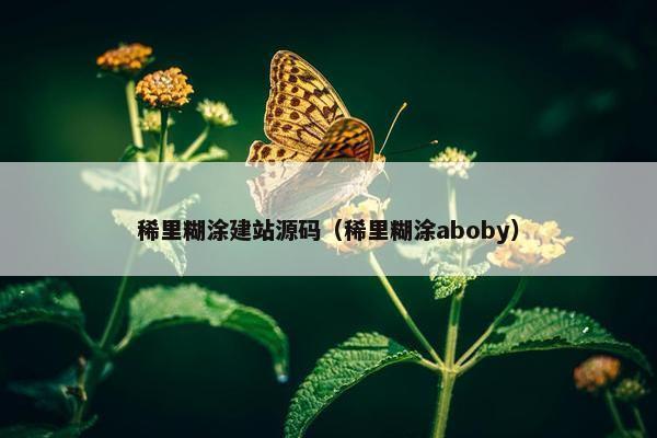 稀里糊涂建站源码（稀里糊涂aboby）