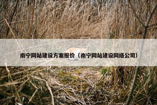南宁网站建设方案报价（南宁网站建设网络公司）