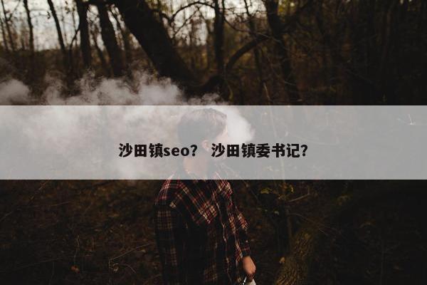 沙田镇seo？ 沙田镇委书记？