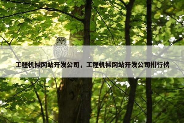 工程机械网站开发公司,工程机械网站开发公司排行榜 工程机械网站开发公司,工程机械网站开发公司排行榜