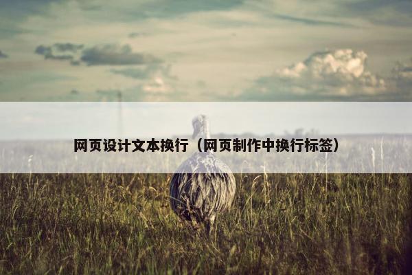 网页设计文本换行（网页制作中换行标签）