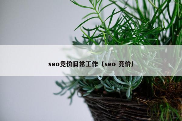 seo竞价日常工作（seo 竞价）