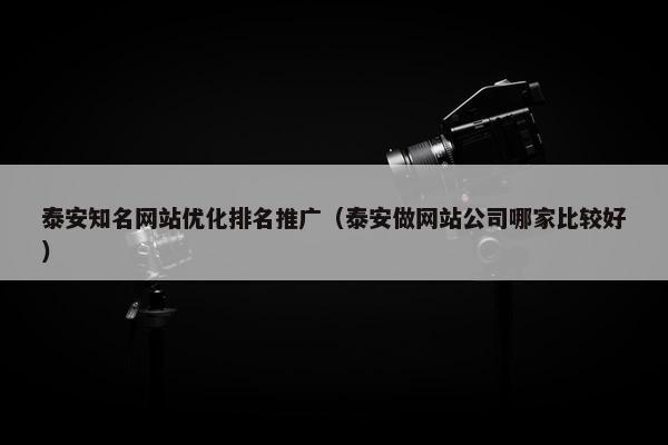 泰安知名网站优化排名推广（泰安做网站公司哪家比较好）