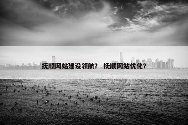 抚顺网站建设领航？ 抚顺网站优化？