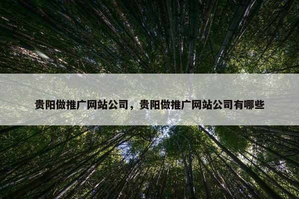 贵阳做推广网站公司，贵阳做推广网站公司有哪些