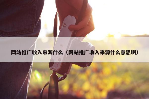 网站推广收入来源什么（网站推广收入来源什么意思啊）