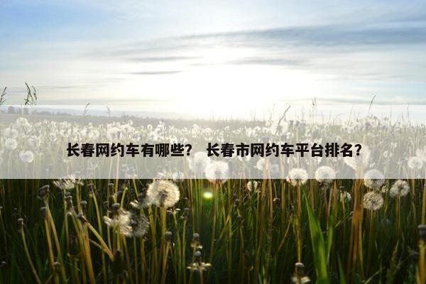 长春网约车有哪些？ 长春市网约车平台排名？