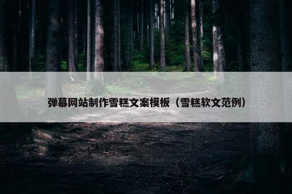 弹幕网站制作雪糕文案模板（雪糕软文范例）