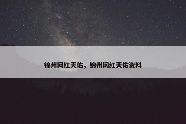 锦州网红天佑，锦州网红天佑资料