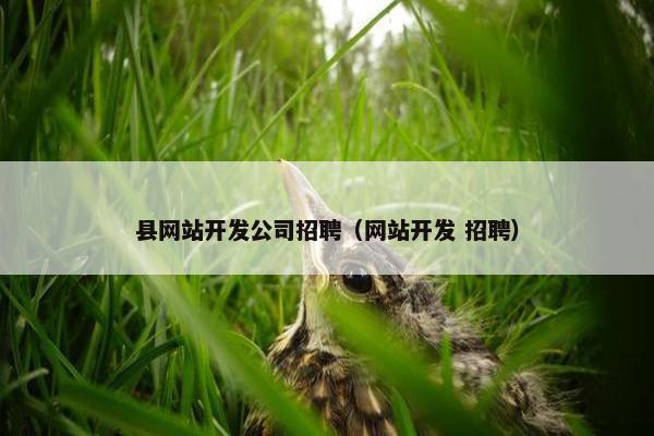 县网站开发公司招聘（网站开发 招聘）
