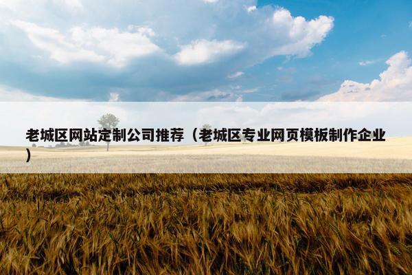 老城区网站定制公司推荐（老城区专业网页模板制作企业）