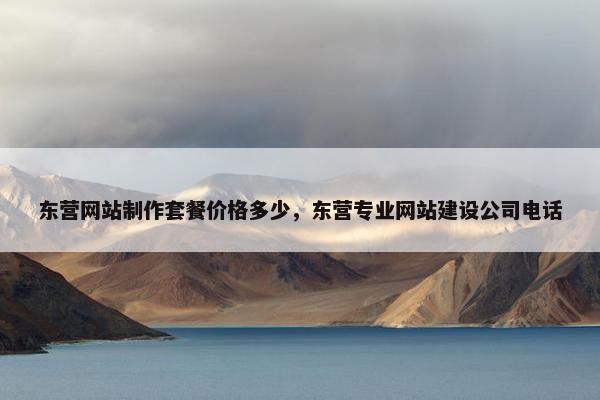 东营网站制作套餐价格多少，东营专业网站建设公司电话