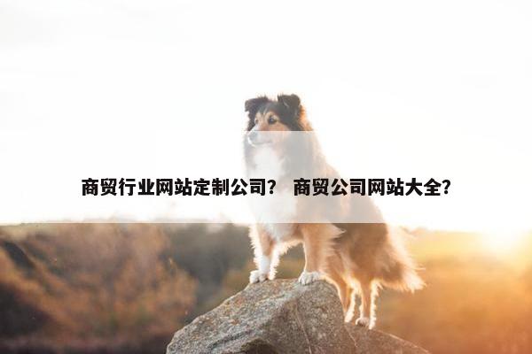 商贸行业网站定制公司? 商贸公司网站大全? 商贸行业网站定制公司? 商贸公司网站大全?