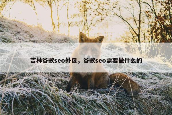 吉林谷歌seo外包，谷歌seo需要做什么的